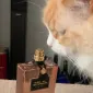 Mizmalibu